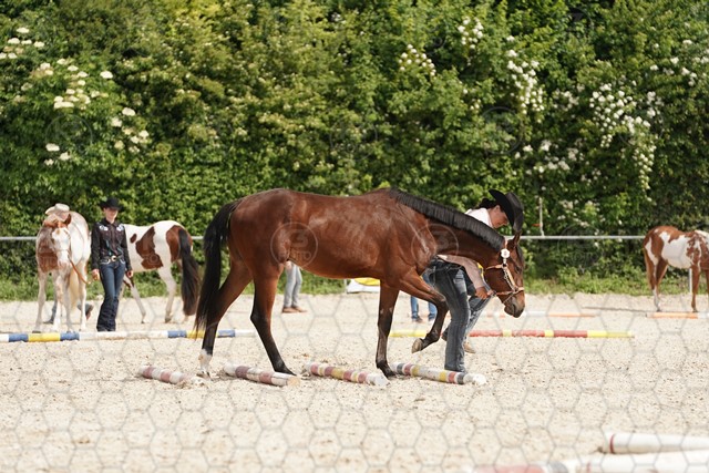 sA9K07706.JPG